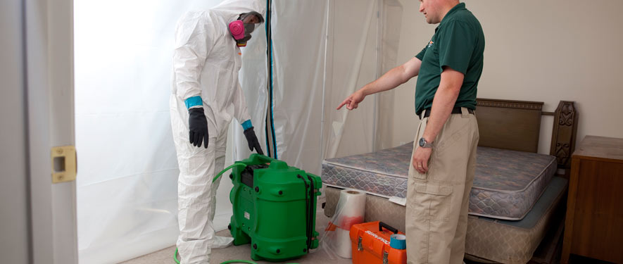 Downtown Austin, TX mold removal process